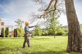 Best Hazardous Tree Removal  in Franklin Farm, VA