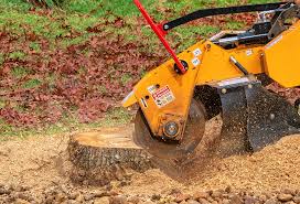 Best Seasonal Cleanup (Spring/Fall)  in Franklin Farm, VA
