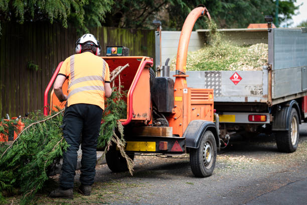 Best Aeration Services  in Franklin Farm, VA
