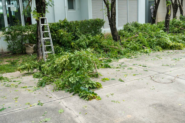 Best Tree Preservation Services  in Franklin Farm, VA