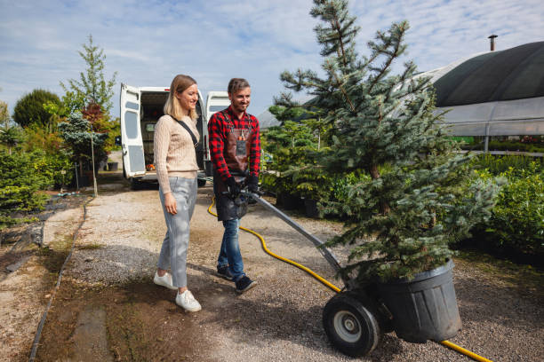 Best Palm Tree Trimming  in Franklin Farm, VA